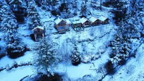 Himalayan Cedar Nest - Image 5