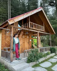 Himalayan Cedar Nest - Image 4