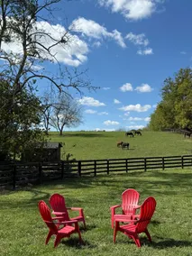 Cozy Cottage-Horses! Views! Keeneland! - Image 3