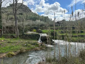Digital Nomad's Sierra Sanctuary - Image 3