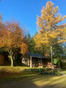 Willow Lodge - Image 3