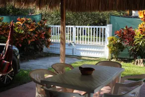 Palapas Jachbe - Image 3