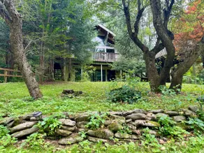 Mountain Treeish House - Image 4