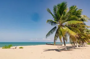 Super beach apartment! - Image 3