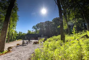 Off Grid at The Golden Stump - Image 2