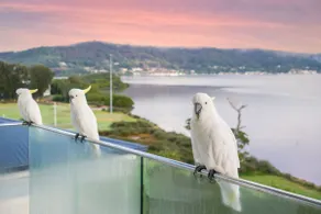 Entire Level 1 of Waterfront House/Panoramic Views - Image 2
