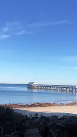 HNLYEntertainer | Walk 2 Beach, Pet & Fam Friendly - Image 5
