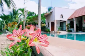Luxurious pet-friendly villa in Tizimín with pool - Image 3
