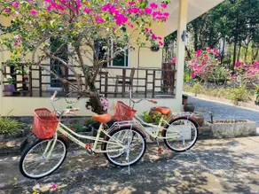 Beautiful Bungalow, Koh Chang - Image 5