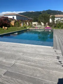 Mini villa, pool access, terrace and garden - Image 2