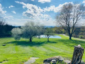 Fun Getaway in Conesus! - Image 2