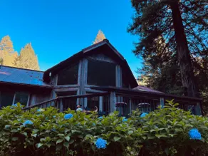 Redwood Creek Getaway! - Image 2