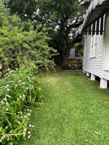 The Evangeline Rose Saint Martinville, La - Image 4