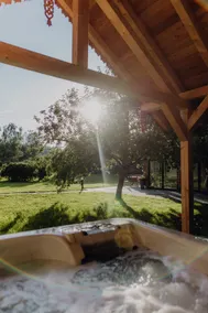 Aicherhof Chalet in the Orchard - Image 2
