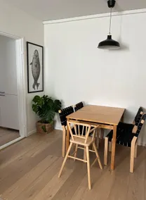 Spacious home\AC\direct connection to city+airport - Image 4