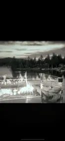 Make memories at the lake! Family and pet friendly - Image 4
