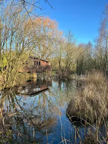 Secluded Rustic Cabin - A Digital Detox Paradise. - Image 5