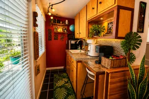 Tropical Hideway | Exotic n Fun| Beach Close - Image 3