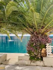 Adria House Dubrovnik by the sea - Image 2