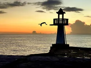 180° Ocean Sunsets•Cliff Access•2 min Ricks - Image 5