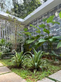 Farmhouse Kodenchery 6g - Image 3