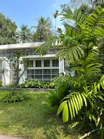 Farmhouse Kodenchery 6g - Image 4