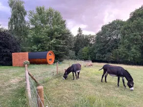 Unique stay in a barrel, nature + breakfast - Image 3