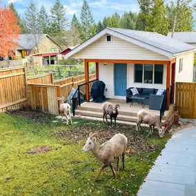 Cozy Radium Cabin | Walk to Downtown & Trails - Image 3