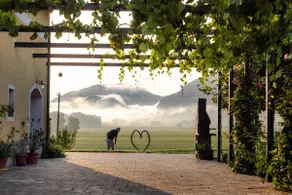 Vineyard Stay with Wellness Access, Marof (6+2) - Image 4