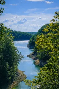 8-Acre Escape: Fishing Pond, Waterfalls, Disc Golf - Image 4