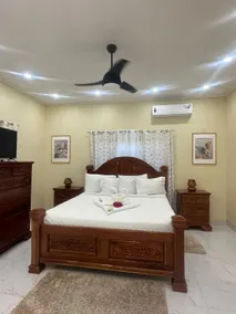 Faseta Palms ~ A Touch of Jamaican Bliss - Image 4