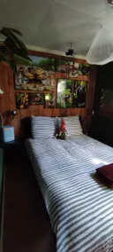 Relax with airco, jacuzzi, sauna, dog in nature - Image 4