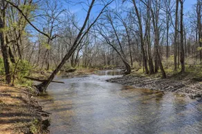 2 Acre Estate, Creek View, Mins to Downtown, Games - Image 4