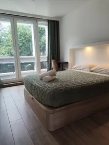 3 Bedrooms*3 Bathrooms Panoramic view of Lyon - Image 5