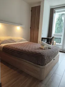 3 Bedrooms*3 Bathrooms Panoramic view of Lyon - Image 4