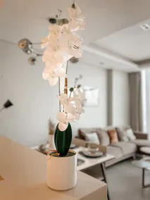 1 Bedroom Luxury Penthouse Catamaran City View - Image 3