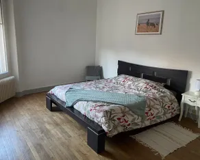 Spacious cozy apartment in the center of Epinal * * * * * - Image 3