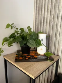 Cozy studio with a terrace and parking - Image 4