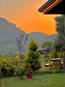 Bungalow in the middle of nature - Image 2