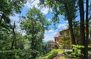 Modern Mountaintop Log Home with Amazing Views! - Image 5