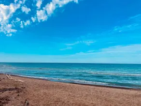 Waterfront Cottage with Private Beach Access - Newly Renovated! - Image 4