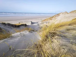 10 person holiday home in Blåvand - Image 4