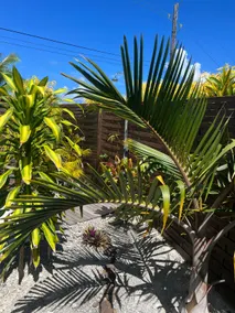 Morning sun bungalow - Image 3