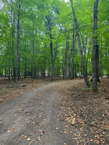 Northwoods Nook - Image 2