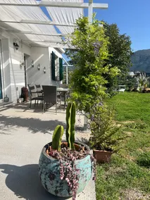 Casa Il Giuggiolo - Image 2