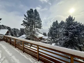 Chalet · Ski shuttle 10 m · Garden & View · Starlink - Image 5