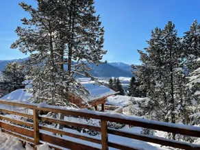 Chalet · Ski shuttle 10 m · Garden & View · Starlink - Image 2