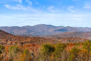 Breathtaking Views for Family & Friends to Gather - Image 4