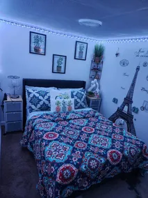 Cozy private one bedroom guest apt suite - Image 3