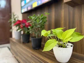 Comfort Stay Near Cyberhub - 300 Mbps Wifi - 1bhk - Image 5